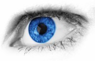 THE 6 mit blauen Augen