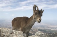 Nach Vorgaben an Getränken laben